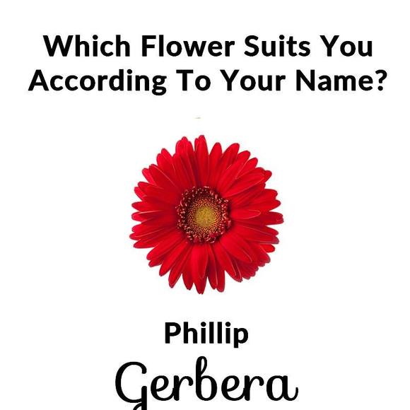 phillipdavis984